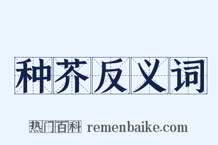 种芥反义词是什么意思的图片